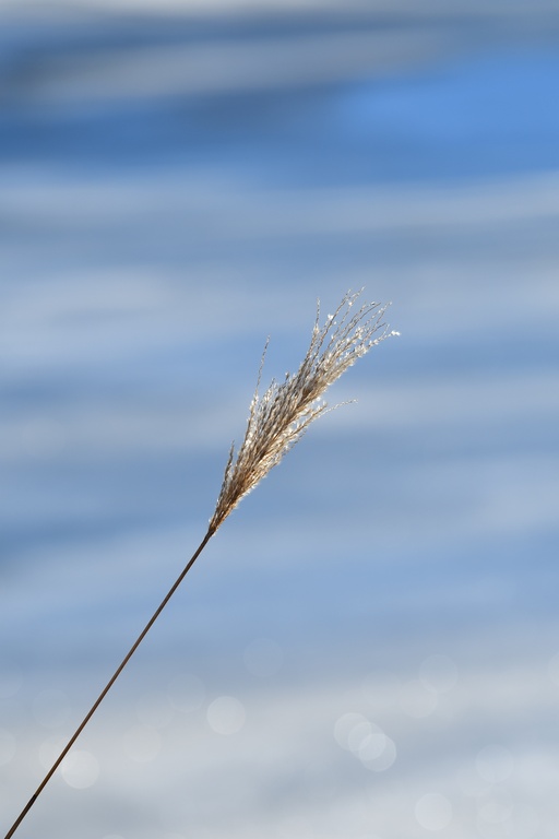 2026-01-08 Brandenburg an der Havel/Stadt/DSC_2256.JPG